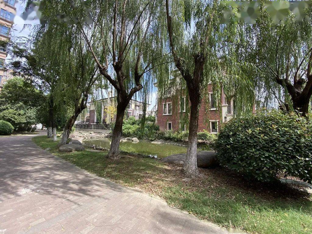 弘建公园国际,绿化表现较好的夏港小区~_花园_江阴_花苑