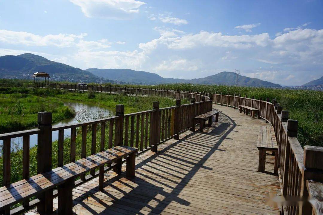 娜姑坝子:秋色染田园 "丰"景入画来_稻田_金色_农户