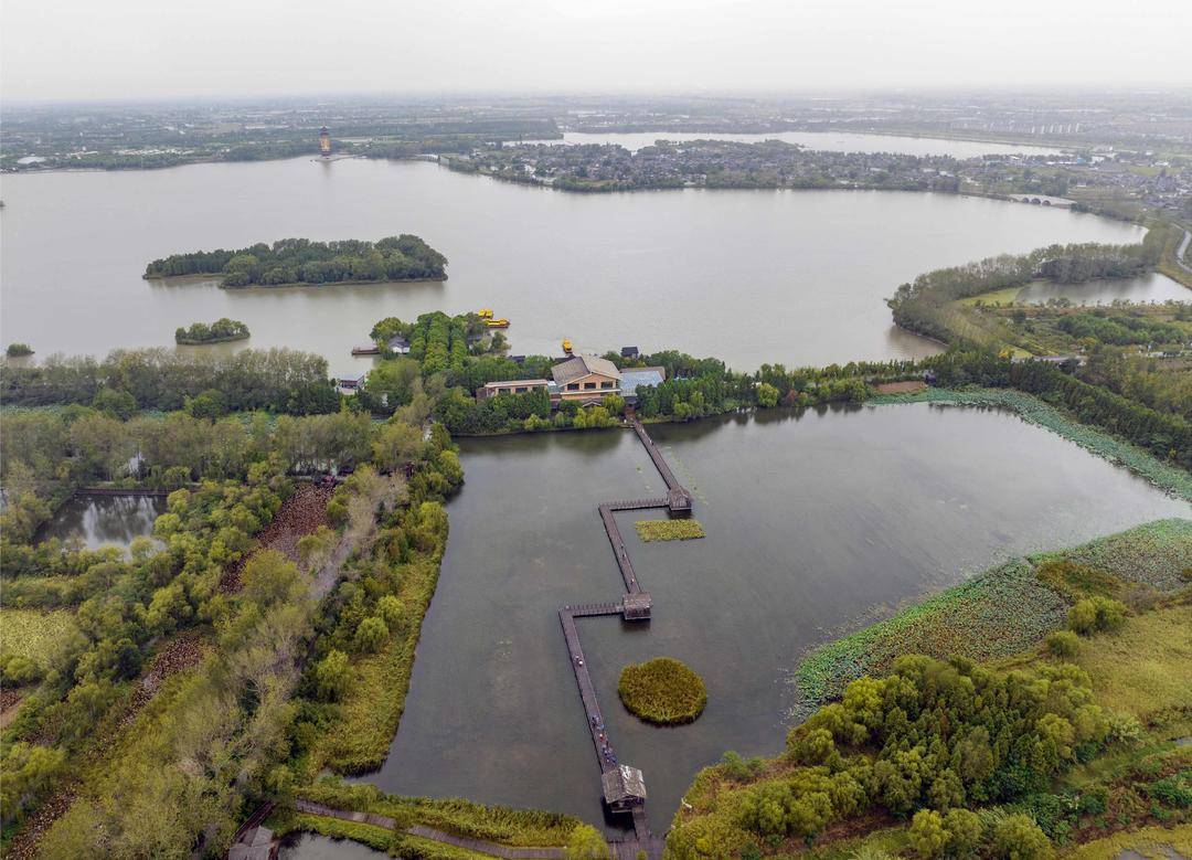 组图|江苏泰州:溱湖湿地秋景如画_游客_公园_国家