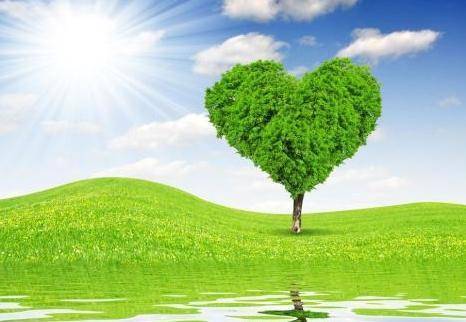 唯美精致的励志金句,阳光暖心,百读不厌_工作_生活_人生