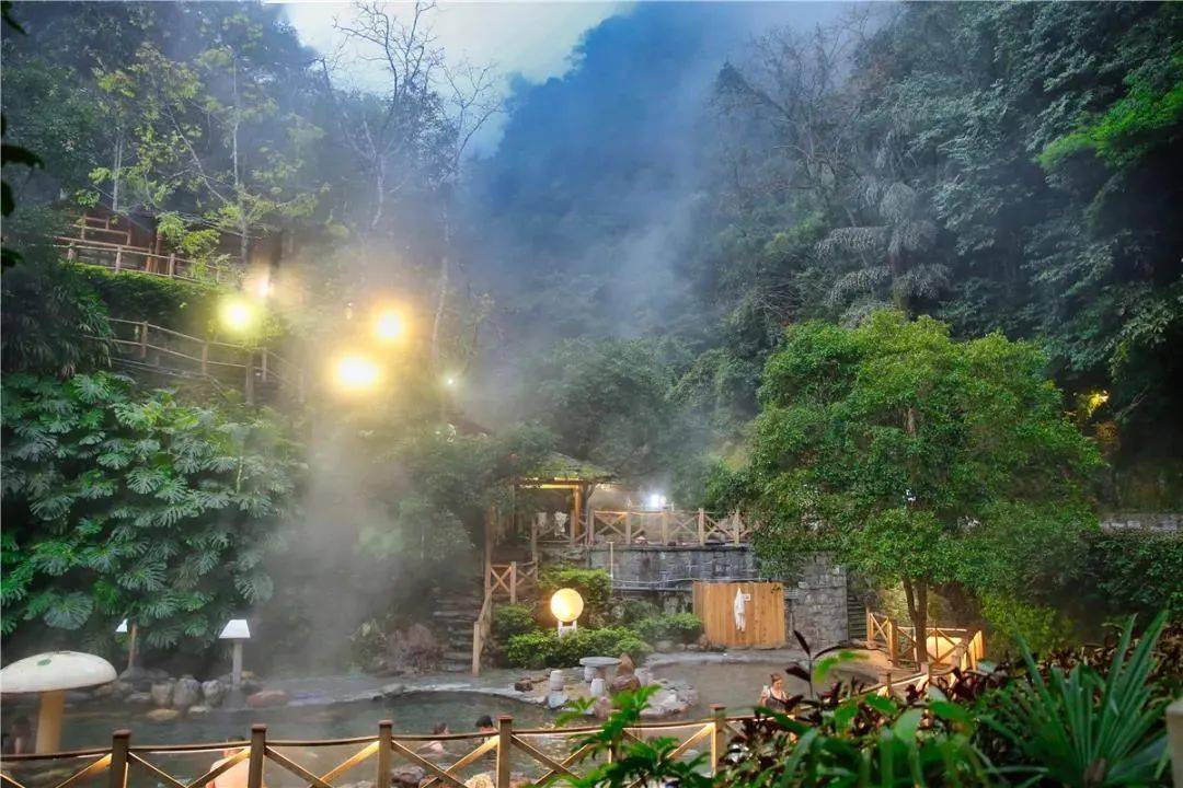 温泉水从古藤垂挂,老树蟠曲的山腰上喷涌而出,龙胜温泉度假酒店就座落