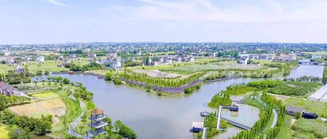 【合美新仓】人水和谐幸福“亲水圈”，看新仓解锁“水美乡镇”密码_河道_建设_生态