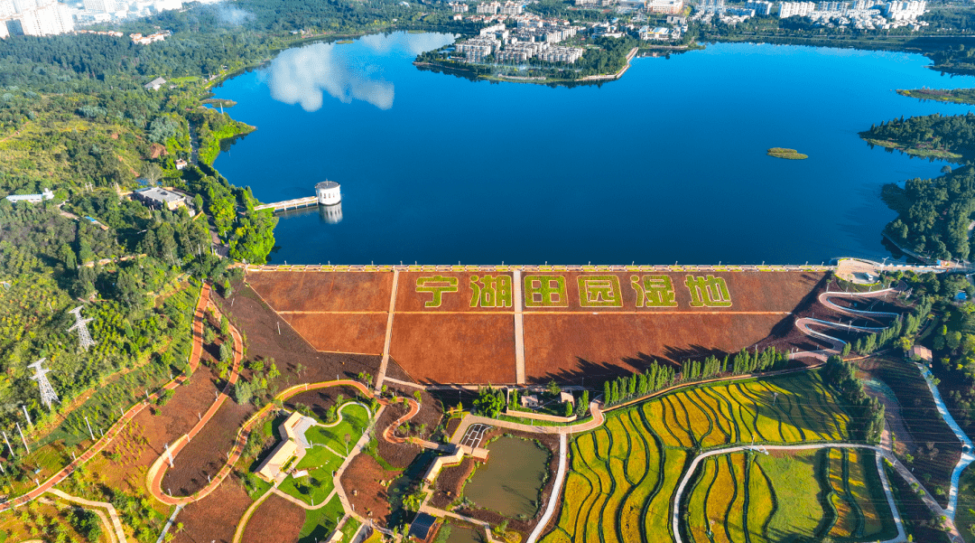 宁湖湿地公园图片