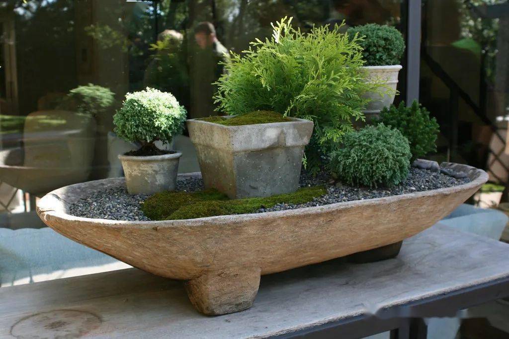 日本青苔盆景作品500件_园艺_苔藓_过往