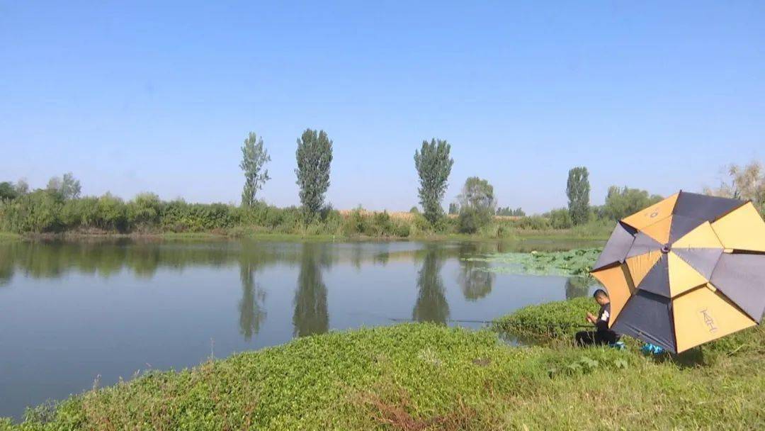 长葛市佛耳湖镇周庄村坐落在佛耳岗水库附近,三面环水,水源充足,一派
