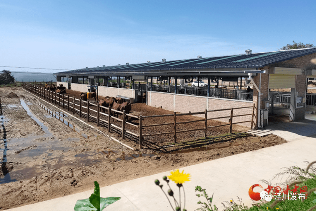 【激情昂扬迎盛会 踔厉奋发谱新篇】省媒聚焦|泾川