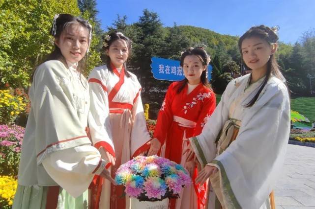 2022鸡冠洞金秋菊展隆重开幕!_旅游_栾川县_游客