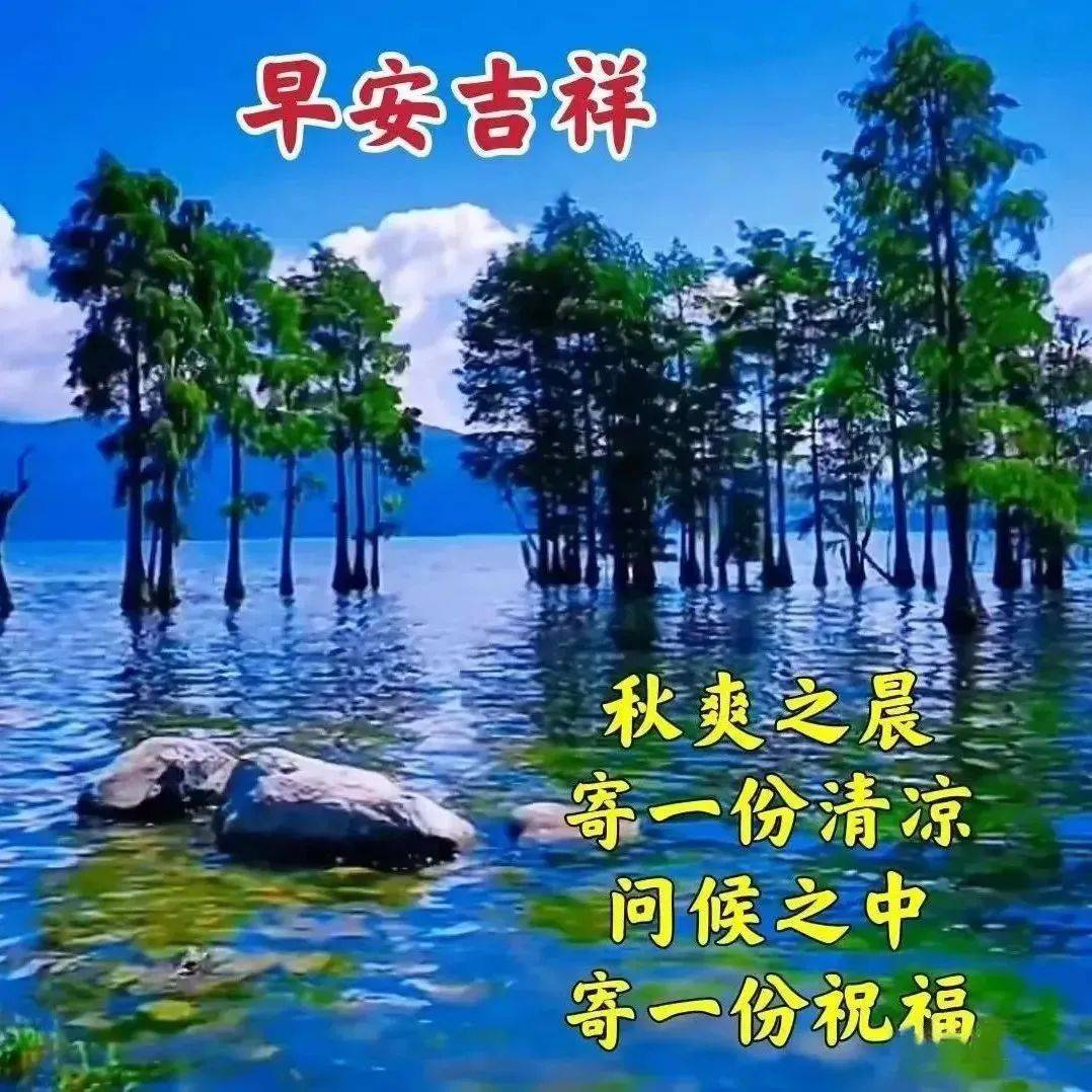 分享一组赏心悦目的清新祝福图片_收获_李小托_公众