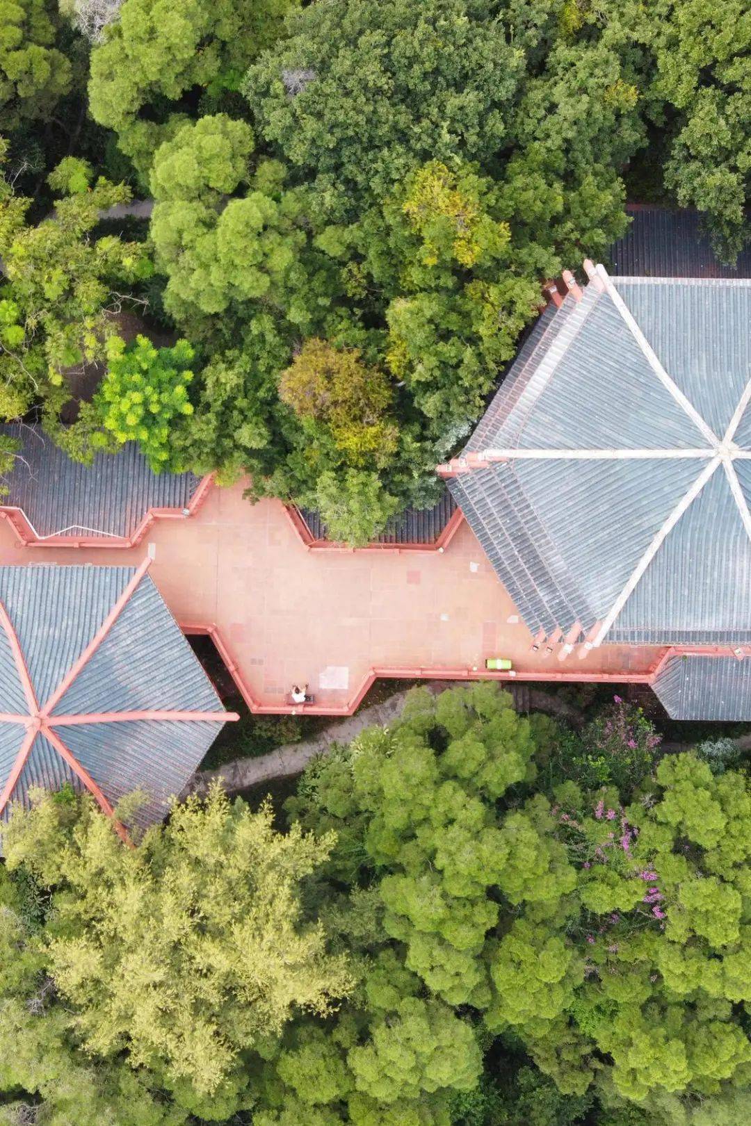 大良有个光影小"秘密",一瞰凤城独特小浪漫._公园_凤山_鱼池