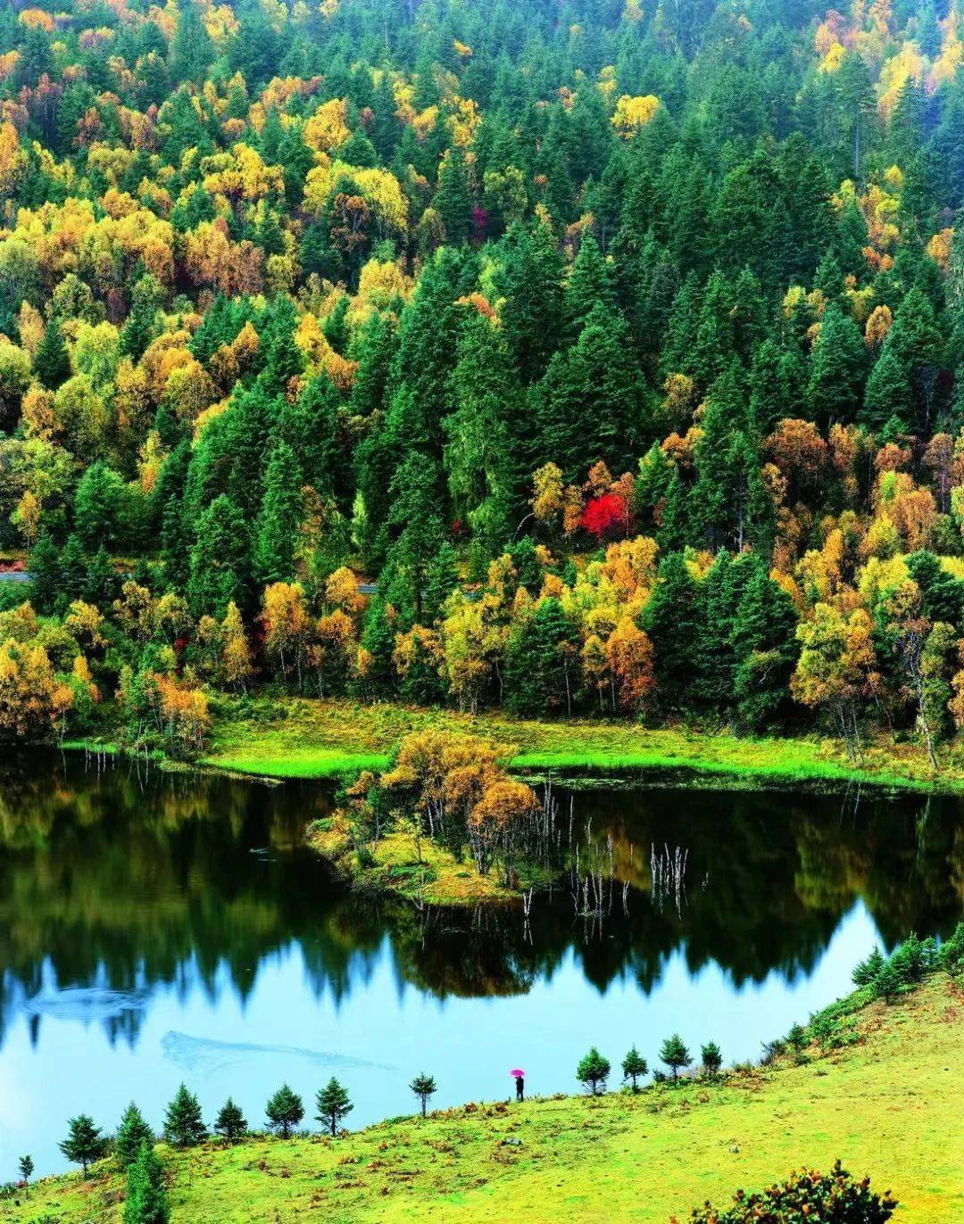 乐享云南丨美景·普达措国家公园_碧塔海_三江并流_草甸