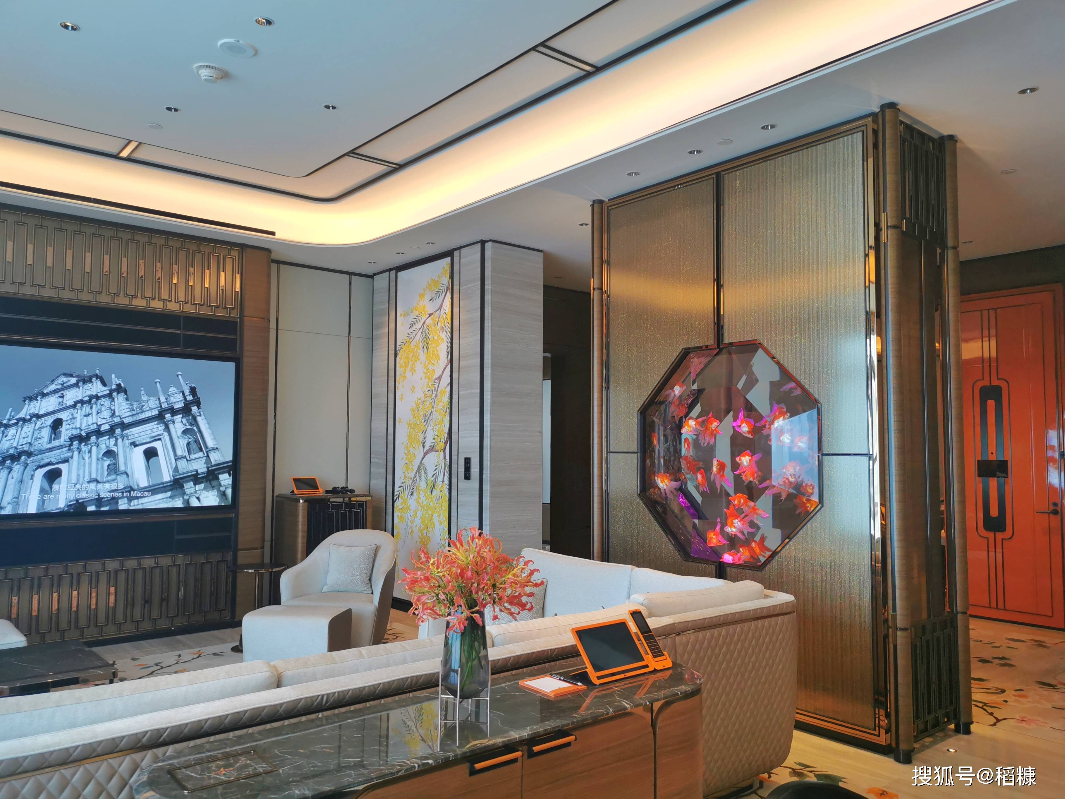 �Ƶ����ʳ������ÿ��һ�ΰ��ţ�ֵ�ã�