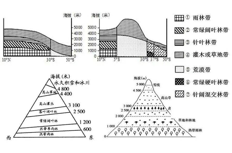 收藏丨20座山脈的垂直自然帶譜,總結全了!_雪線_緯度_影響