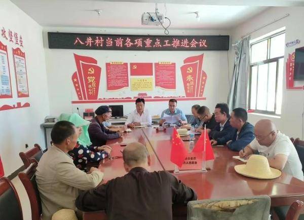 通渭义岗川:驻村帮扶工作队为八井村产业发展注入强劲动力_建设_项目