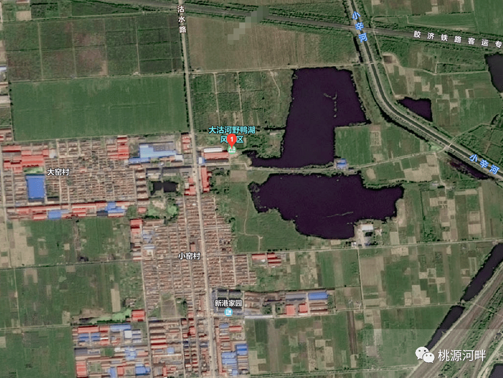 胶州这里要新建民宿酒店,规模公布!_李哥庄镇_建设_青岛