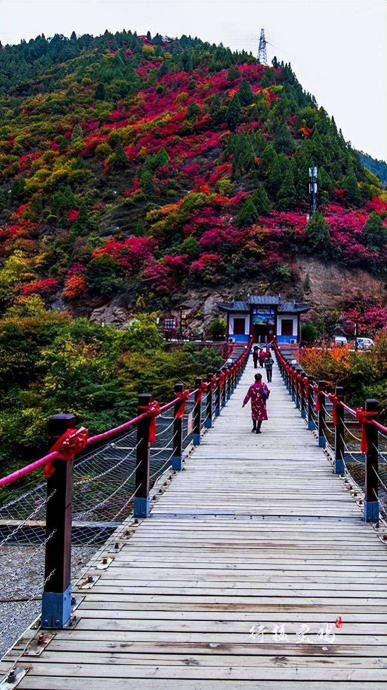 宝鸡周边赏秋景点图片