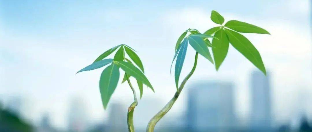 生命的意义_人生_生活_印记