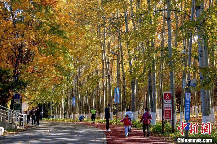 京城彩叶十月中下旬进入最佳观赏期 全市推出20个赏红片区