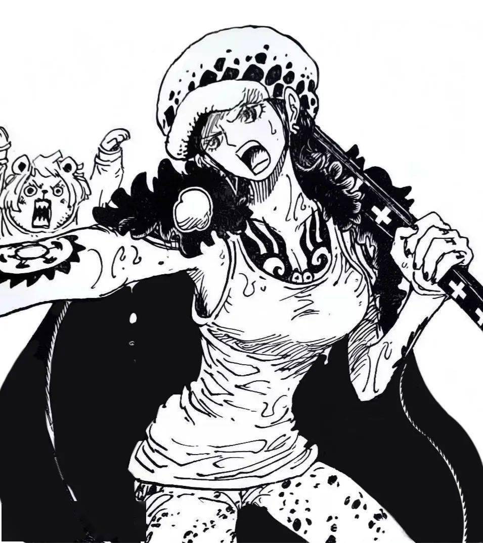 s12参赛选手接连确诊 《海贼王》里的罗也变女人了 | 每日b报_进行