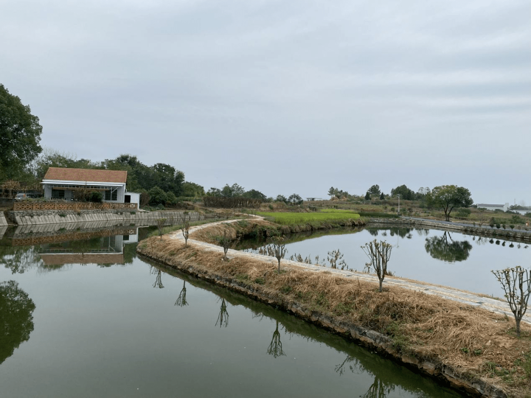 【六片示范全域提升】上巴河镇竹陂寺村:秉承发展理念 缔造幸福家园