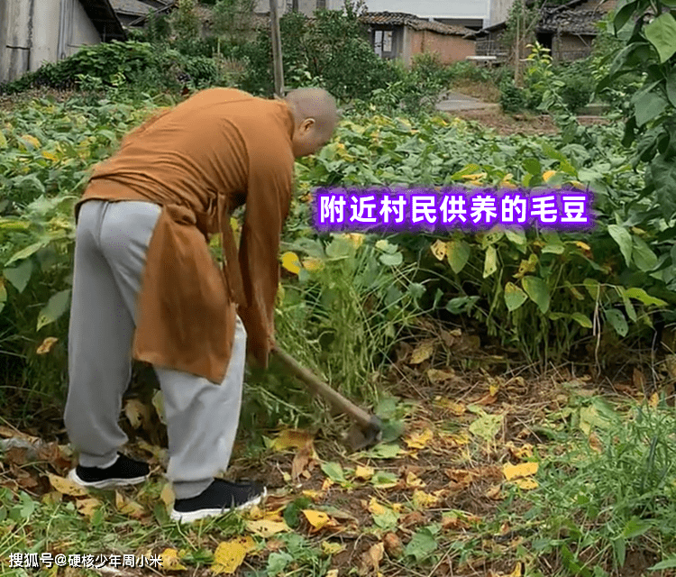 你会落发吗？黑龙江一须眉晒寺庙伙食，8菜1汤堪比“素食餐厅”