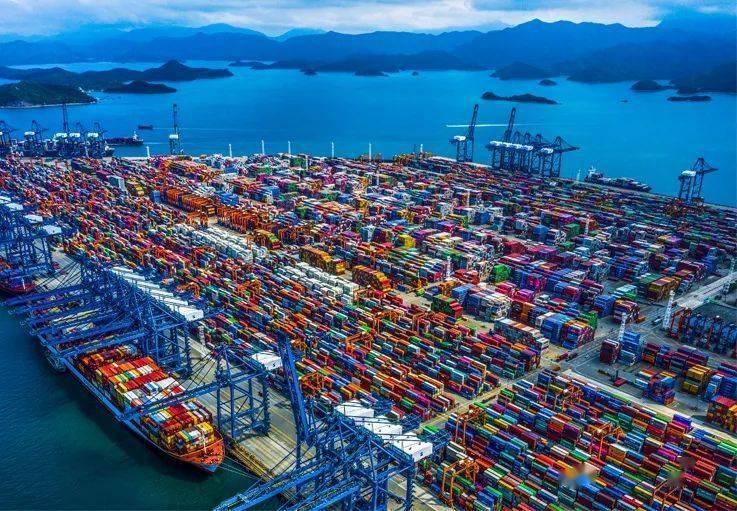 技贸破冰与筑篱丨新西兰更新进口海运集装箱检疫及申报要求