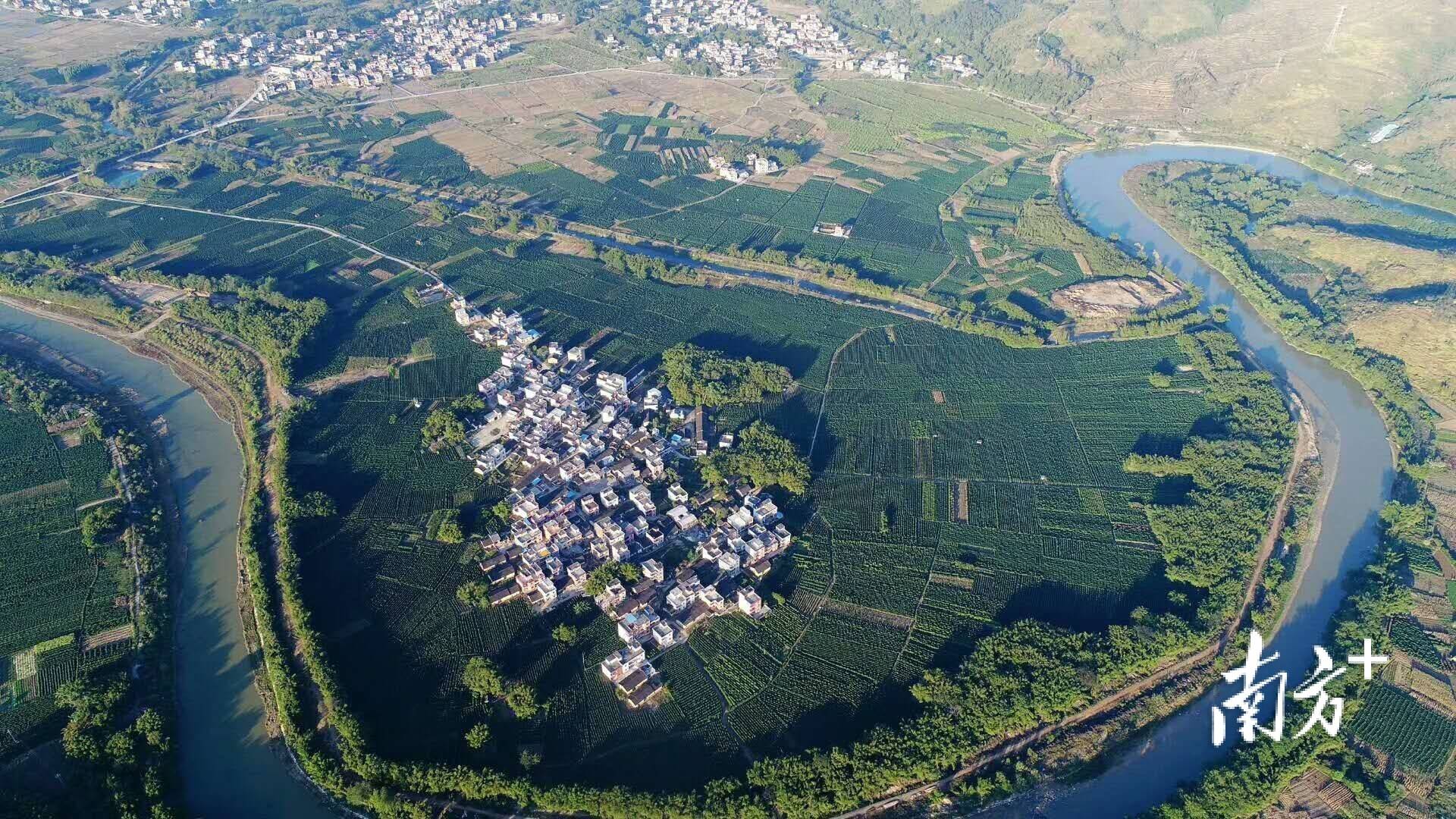 阳山：美丽乡村展新颜，幸福指数节节升_发展_林村_种植