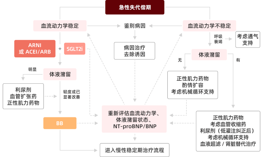 3 图搞懂:心衰新四联药物如何使用?_治疗_临床_患者