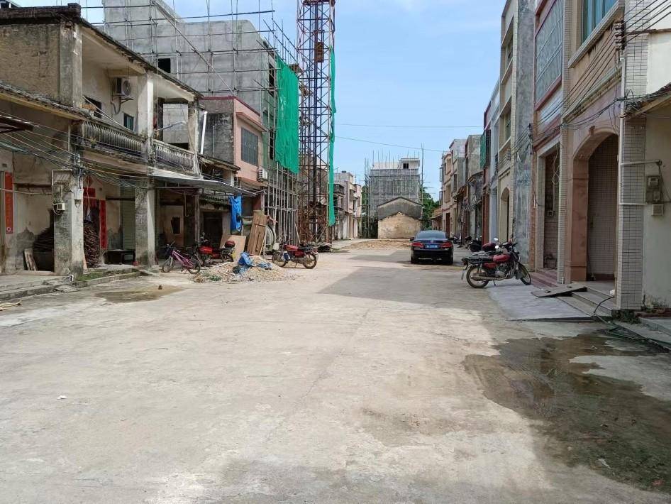 庚子革命首义惠州(深圳)三洲田起义_义军_元帅_竖旗