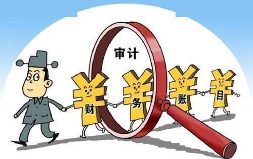 11种财务舞弊易发高发领域及应对措施_相关_检查_交易