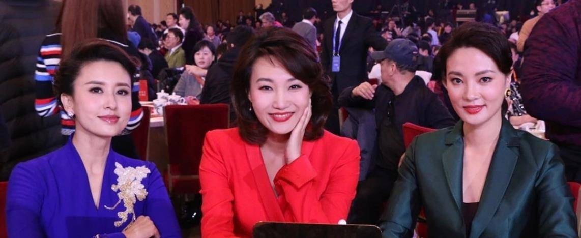 原创 电视三姐刘芳菲,她素面朝天气质依然优雅,婚姻状况已成谜(图4)