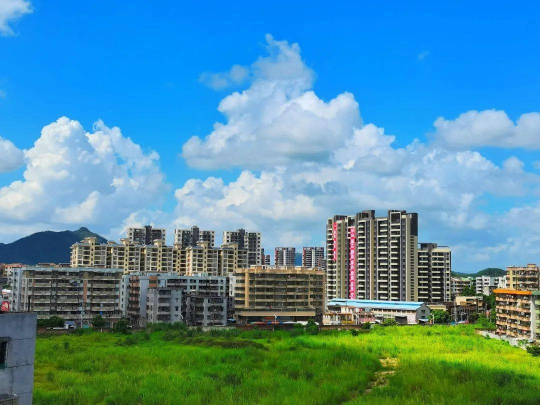 杯""新侨乡·新生活"摄影大赛手机组获奖作品展示(二)_台城_花园_万达