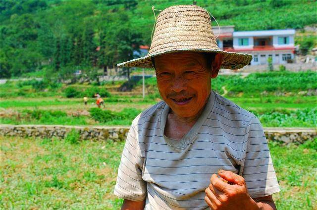 老农挖出一堆石头，以七毛钱一个卖出，专家无意发现：那是国宝