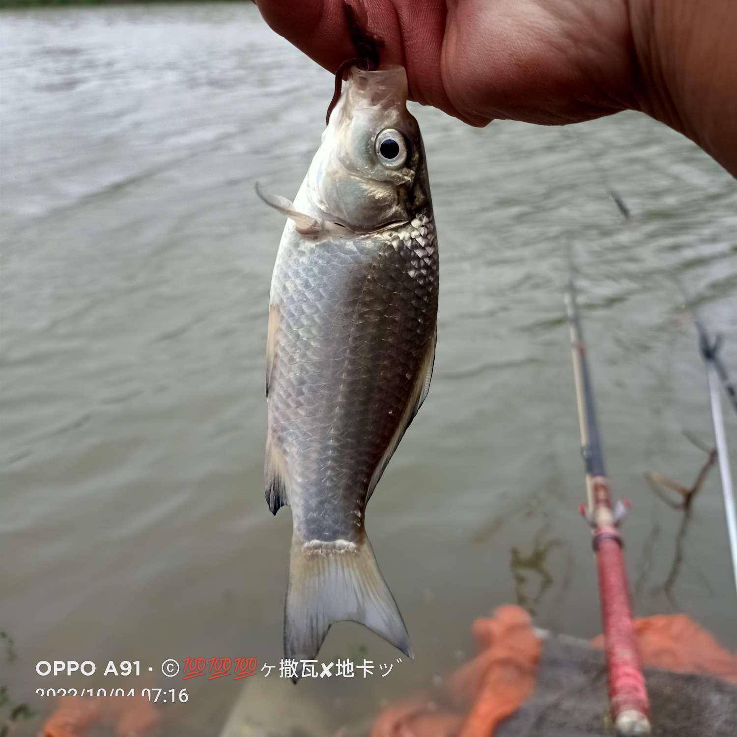 感触感染冰火两重天，体验爆连的快感