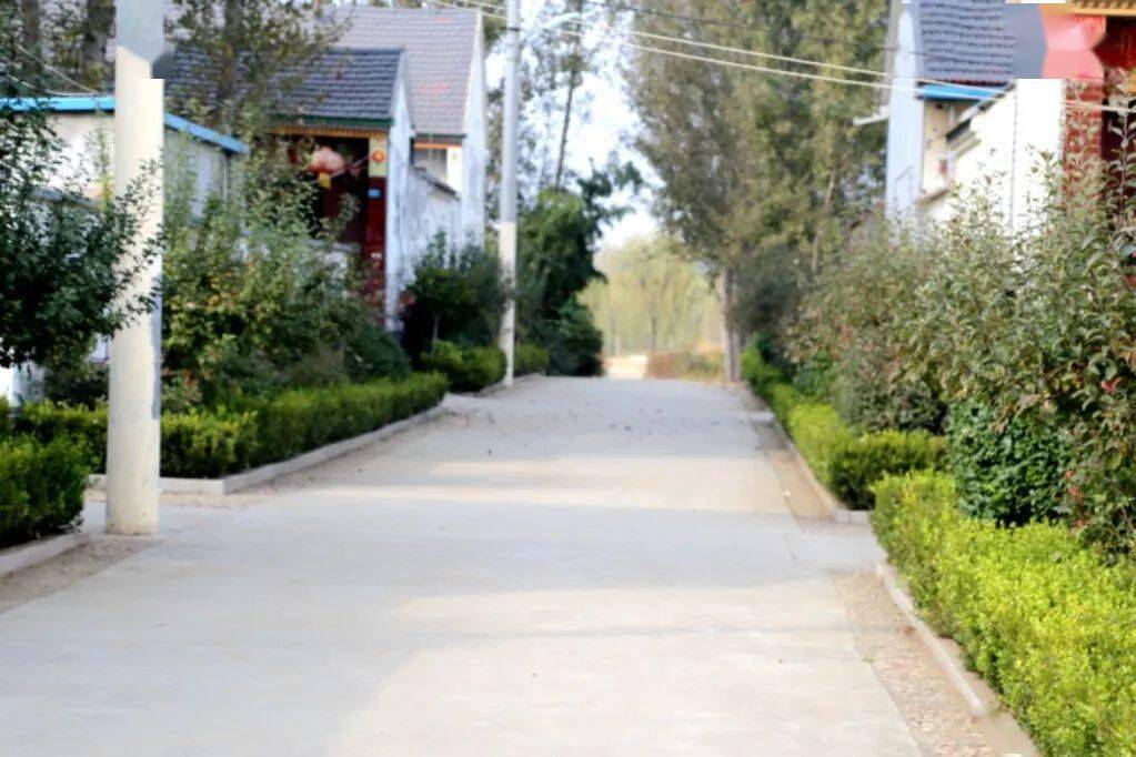 临朐县蒋峪镇开展第三轮农村人居环境观摩评比活动_整治_工作_观摩团