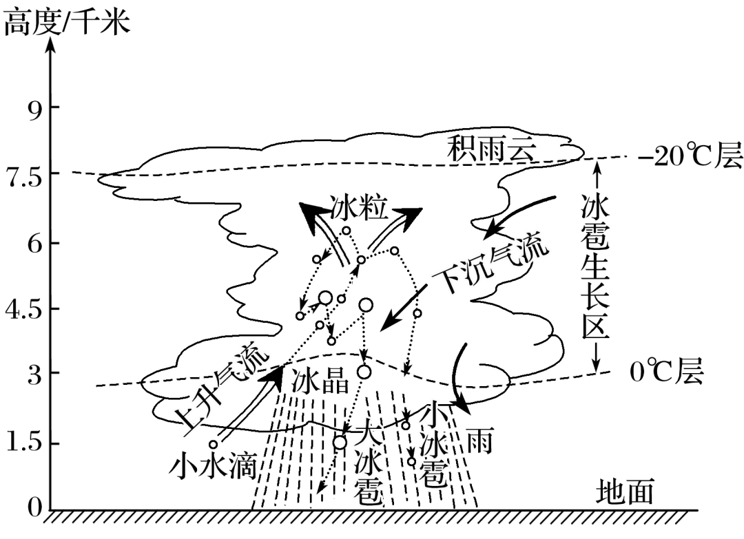 冰雹是强对流天气条件下发生的一种固态降水现象,常伴随雷雨大风和短