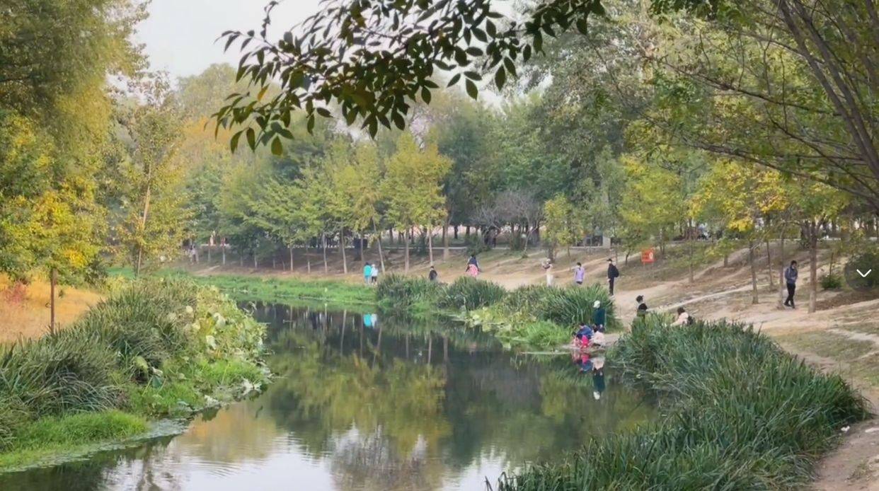 北京免费的5A景区，风景优美游人如潮，花田野趣成网红