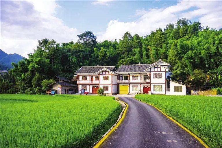 文明在遵义丨湄潭县西河镇"三管三护三讲"助推镇容村貌换新颜_工作