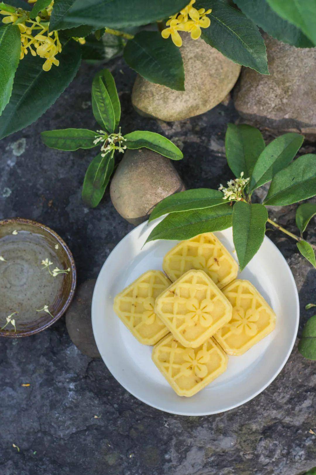 秋意渐浓,收藏十月咸宁的专属香气……_桂花_田野_地址