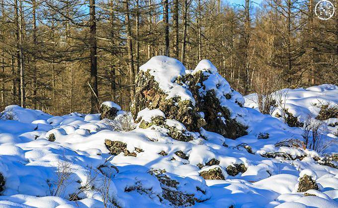 呼伦贝尔阿尔山有一处石塘林,火山爆发造就的景观,冬天仿佛仙境_岩石