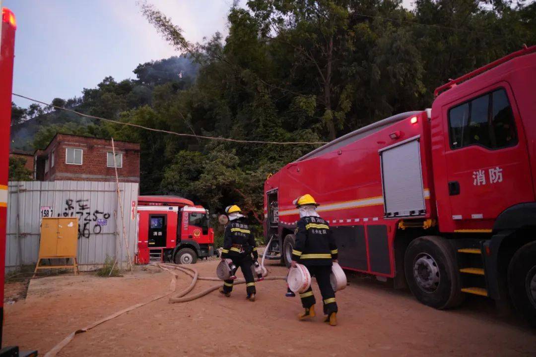 万秀区高旺马山发生山火,今天中午山火基本被扑灭_灭火_扑救_梧州市