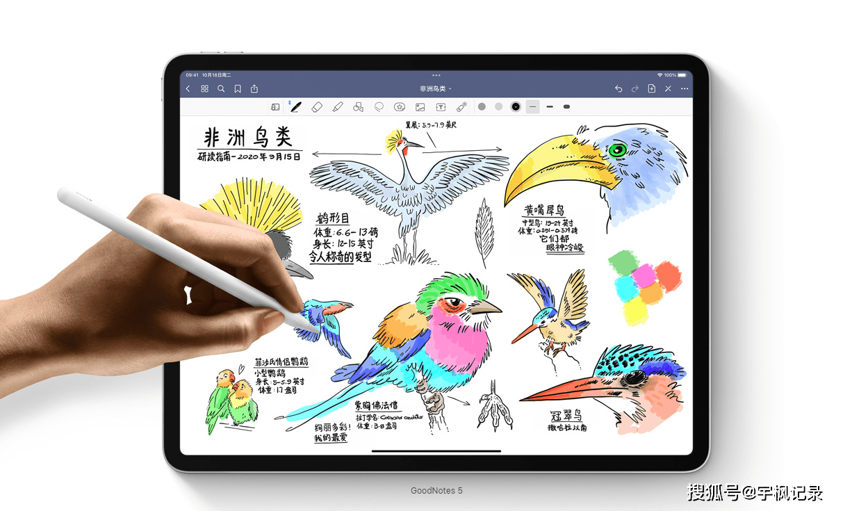 第十代iPad 3599起，10月20日起头预订，26日出售