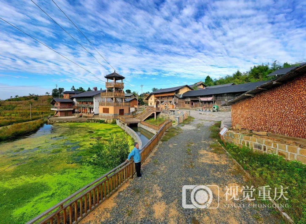 钟志兵 摄/视觉重庆行走在桥头镇乡间,一村一品,一村一景,一村一韵