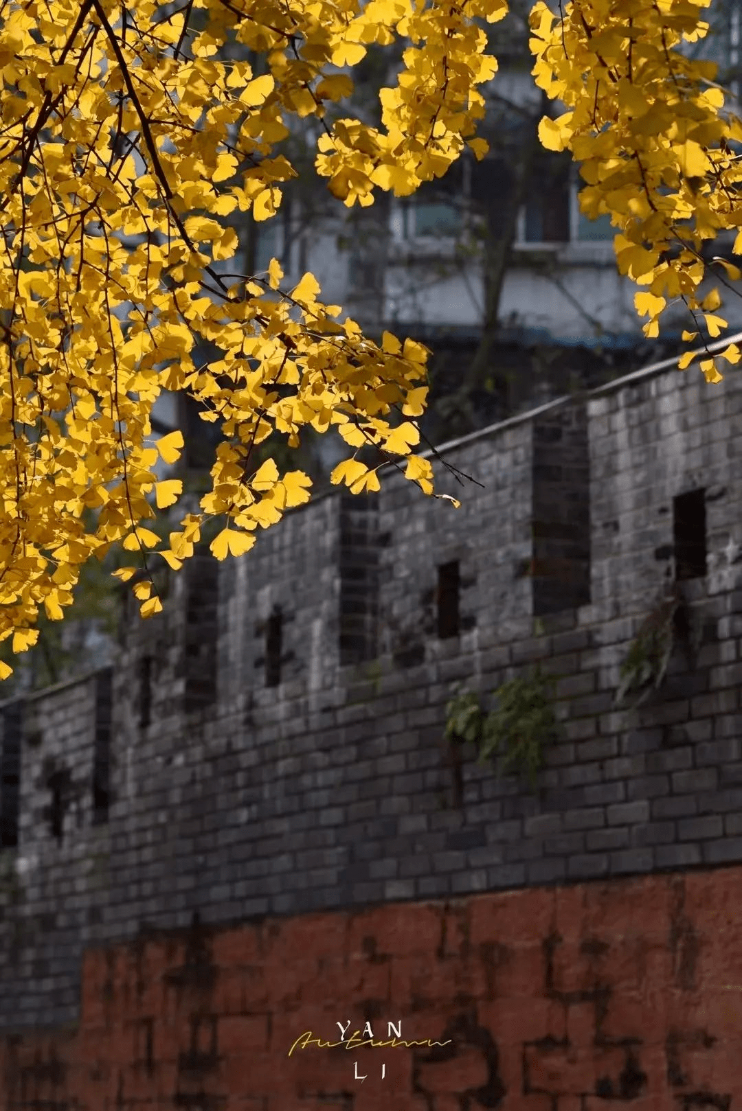 邂逅嘉州古建筑，赏秋模式开启！