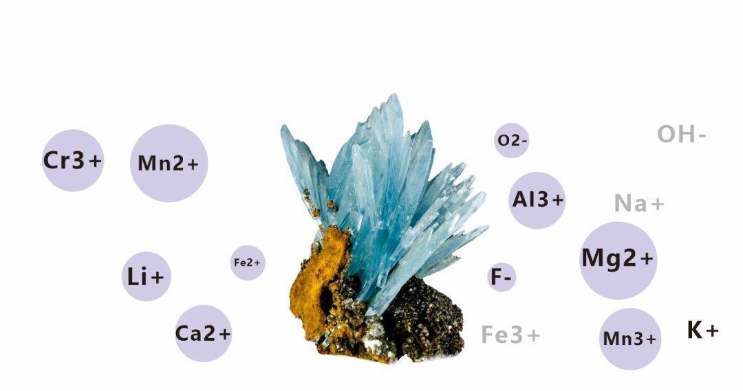 珍奥托玛琳寝具丨改变一生的微循环_人体_物质_组织