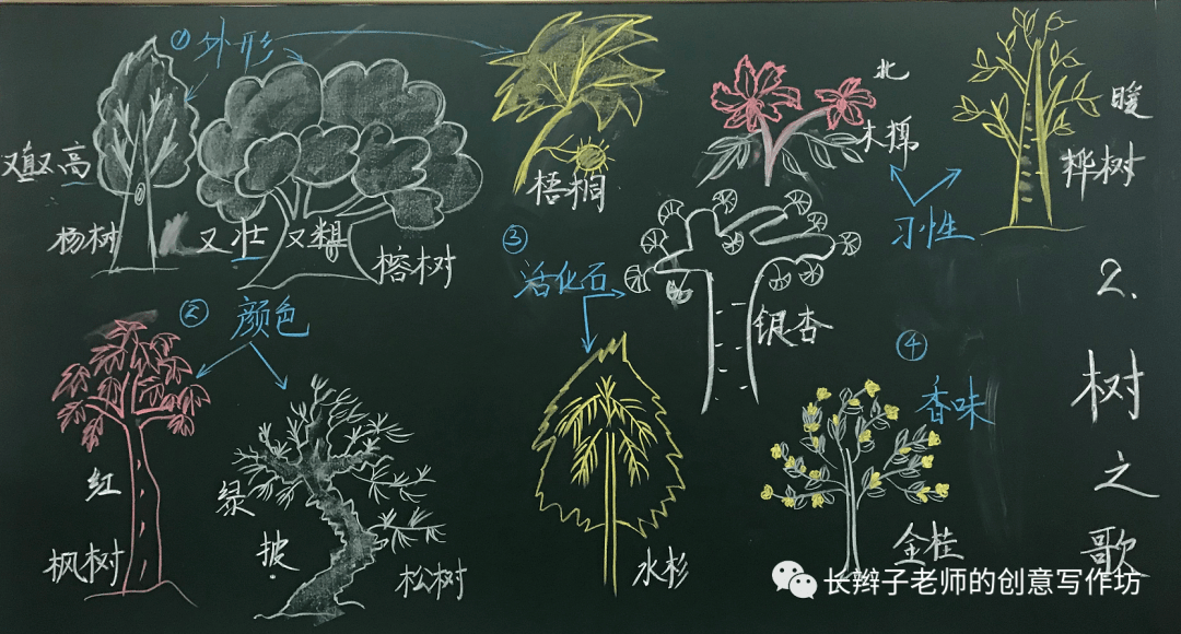 桂花雨板书设计简单图片