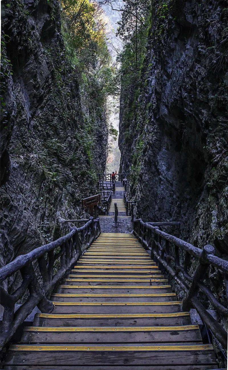 张家界:纵观大峡谷,横步云天渡_画面_玻璃_效果