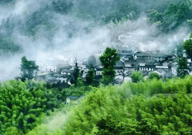藏在浙江的一处村庄，依山傍水绿树环绕，有中国最优美小山村美誉