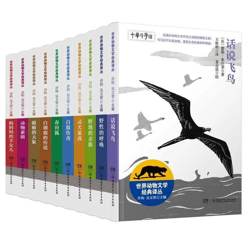 开启文学殿堂的句子