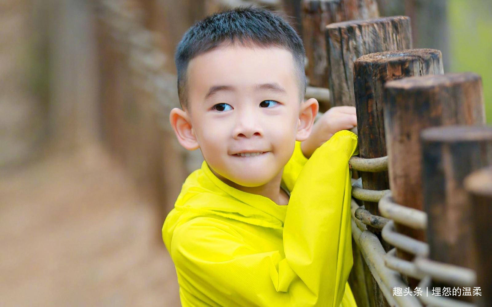 11岁杨阳洋罕见露面!