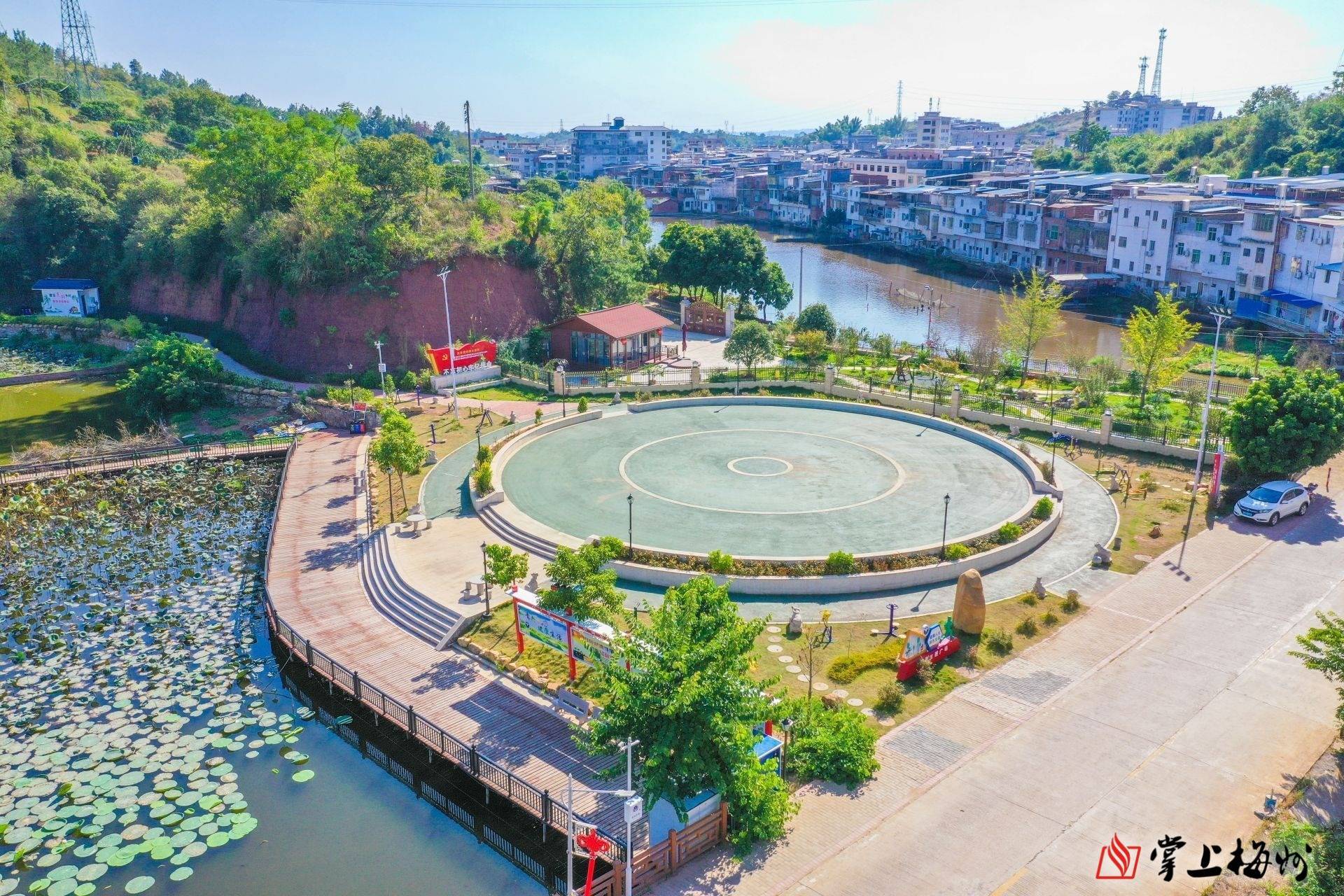 兴宁市合水镇:敢闯敢试开新局 因地制宜谋良方_的发展_澳洲_种植